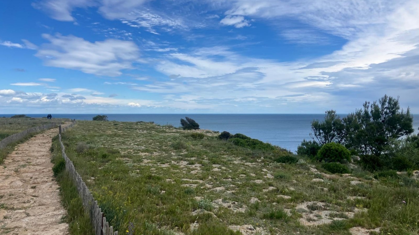 Falaise de Leucate